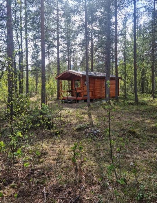 Torfoss Gard, Hytte Utleie, Campingvogn Og Bobil Plasser Potka Экстерьер фото